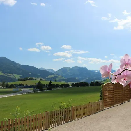 Conny 公寓 格洛博明